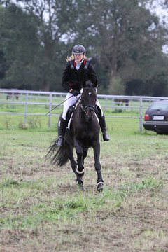 Bild 1440 - WBO-Turnier am 18.9.11